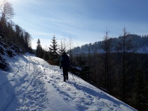 Winterwanderung in Puchenstuben